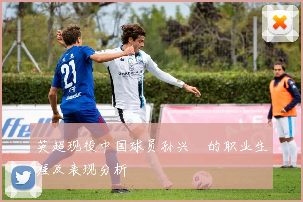 英超现役中国球员孙兴慜的职业生涯及表现分析